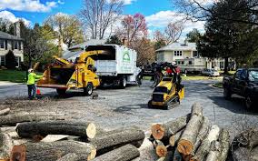 Best Landscape Design and Installation  in Elmsford, NY