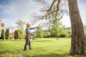 Best Lot and Land Clearing  in Elmsford, NY